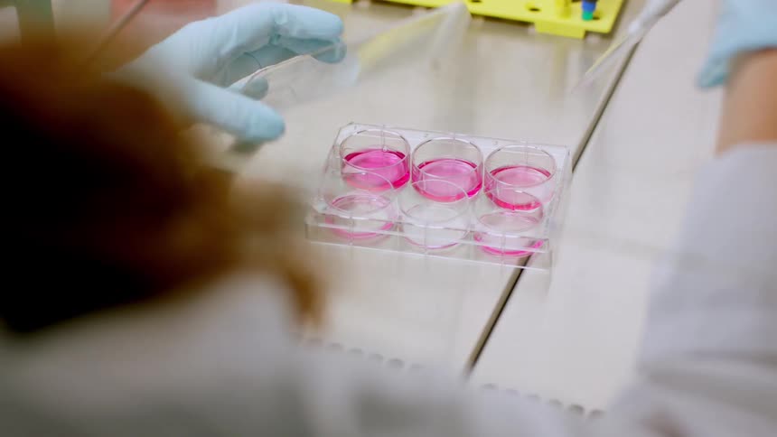 A female lab technician uses a dropper to move pink liquid from one tube to another then covers them