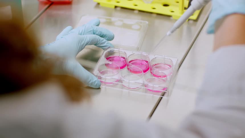 A white female lab tech dispenses liquid into petri dishes