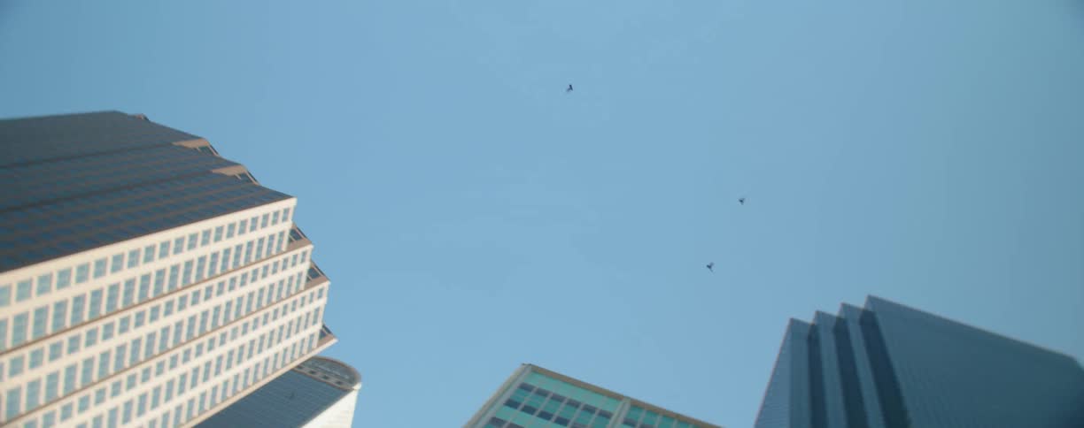 Tall skyscrapers sit under the bright blue sky as birds fly overhead