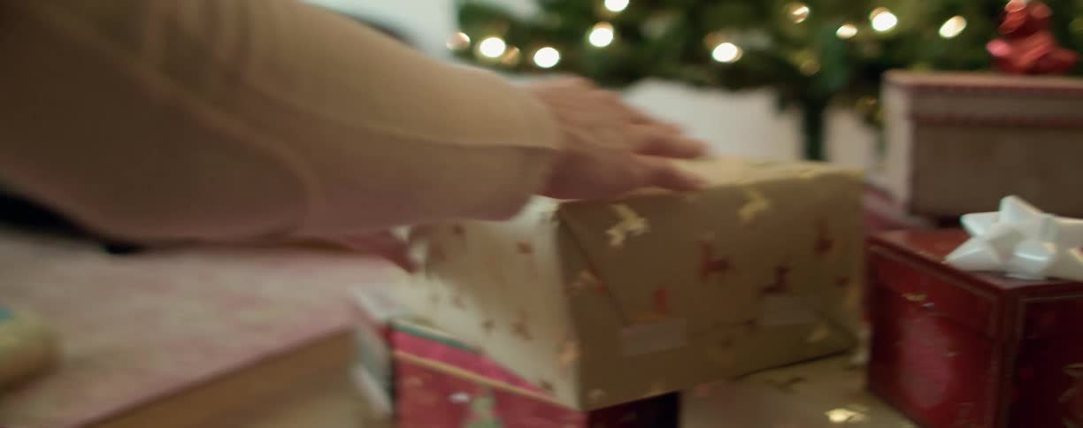 A person places a gift under the christmas tree