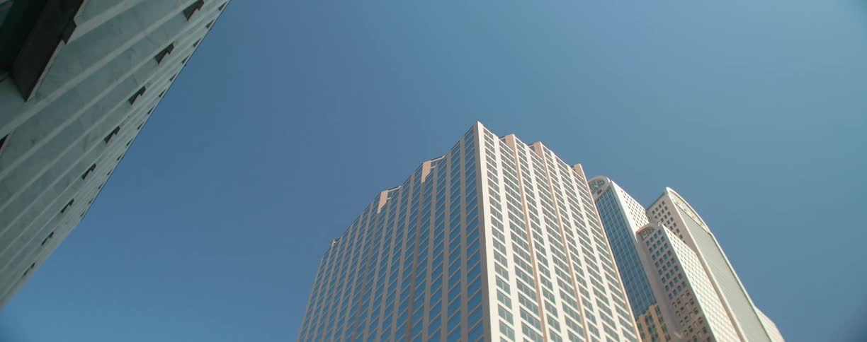 Birds fly around skyscrapers in a downtown area