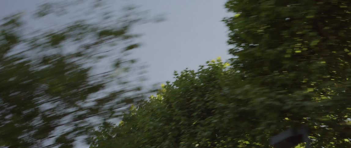 Traveling past trees and signs on a bright sunny day