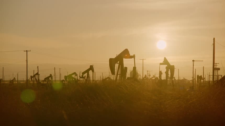 Numerous oil pumps bobbing up and down in a field under a low sun