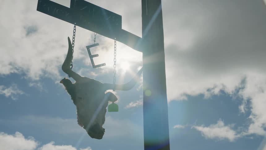 A bulls head hangs under a sign to a ranch