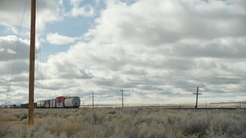 A freight train passes by on grassy flat terrain on a cloudy day