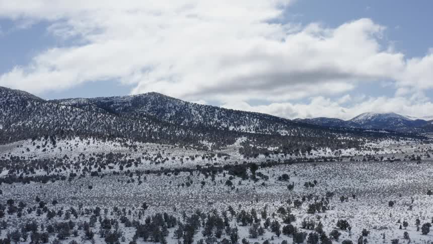 Trees and hills dusted with snow on a bright blue sky day