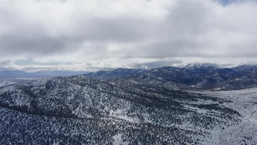 Snow partially covers trees growing on the slope of mountains