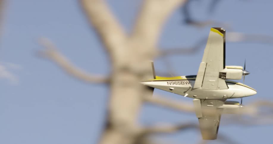 Propeller plane flies over leafless tree branches in clear blue sky