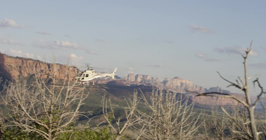 Helicopter flies over the trees near the mountains