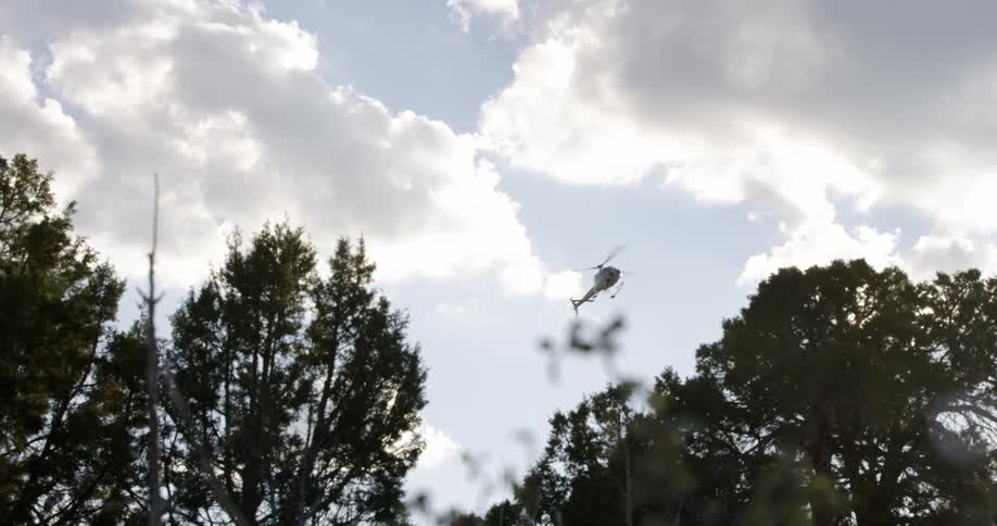 Helicopter with large blades flies over the trees and stays in the air