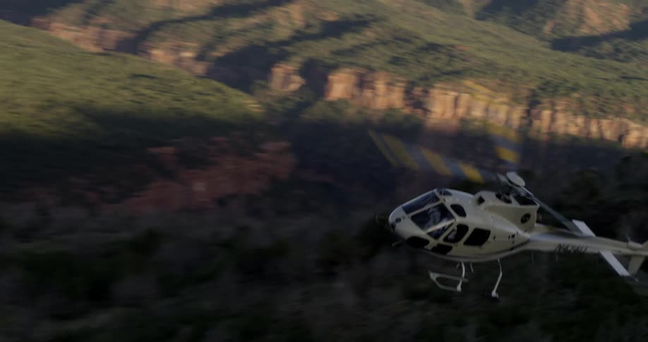 A helicopter flies through a nature area
