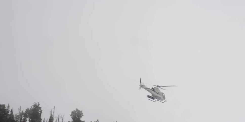 White helicopter hovering near trees on a hazy day in the mountains