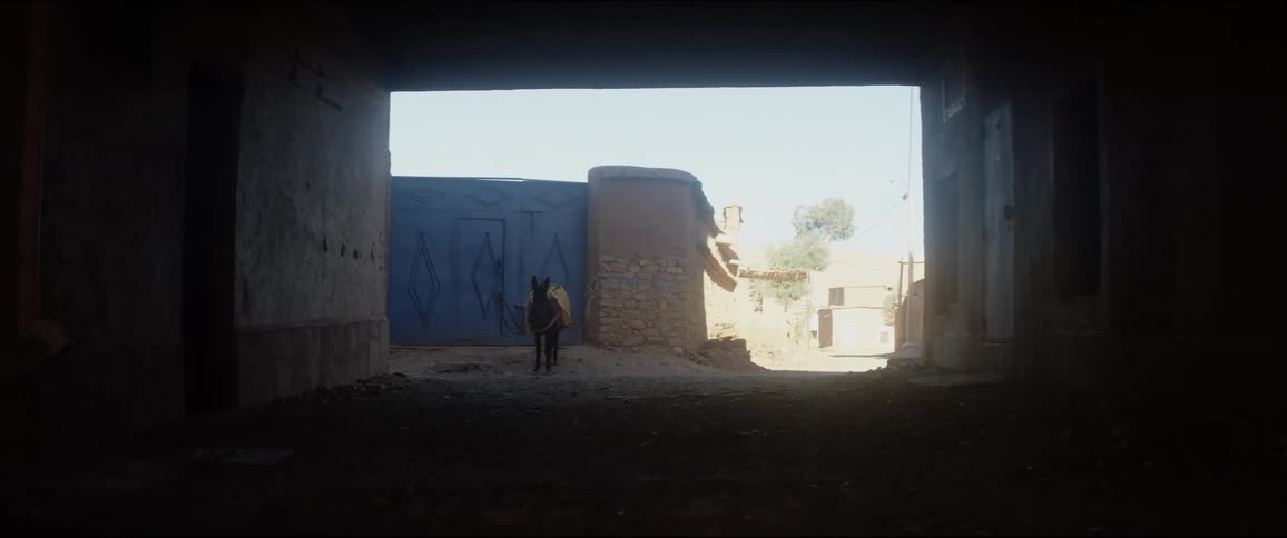 Donkey standing in front of blue gate at end of the tunnel