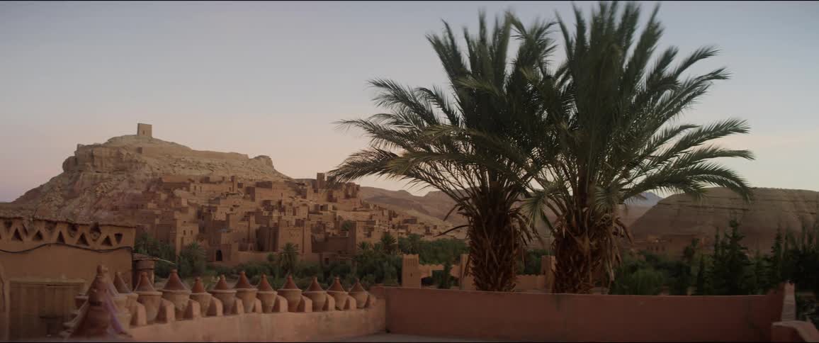 Palm trees in front of architecture