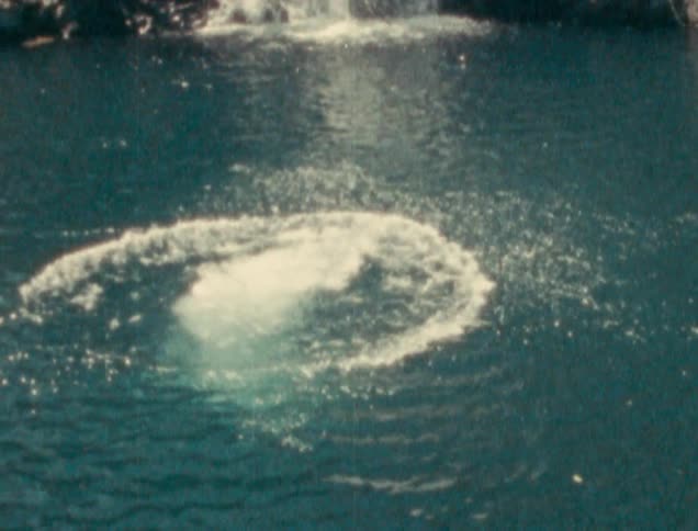 A man dives into a lake below a waterfall
