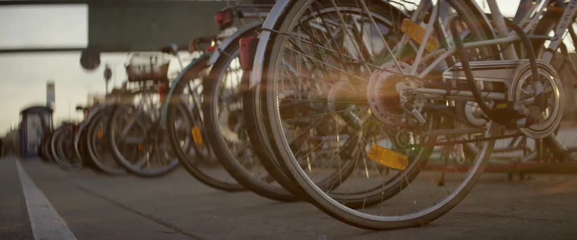A row of bicycles are parked on the side of the road