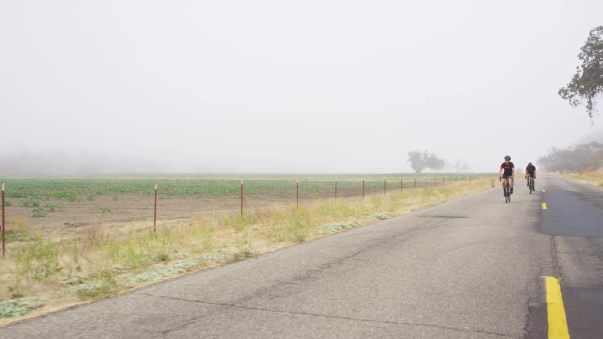 Two cyclist drive bicycles on a road near a field covered in fog