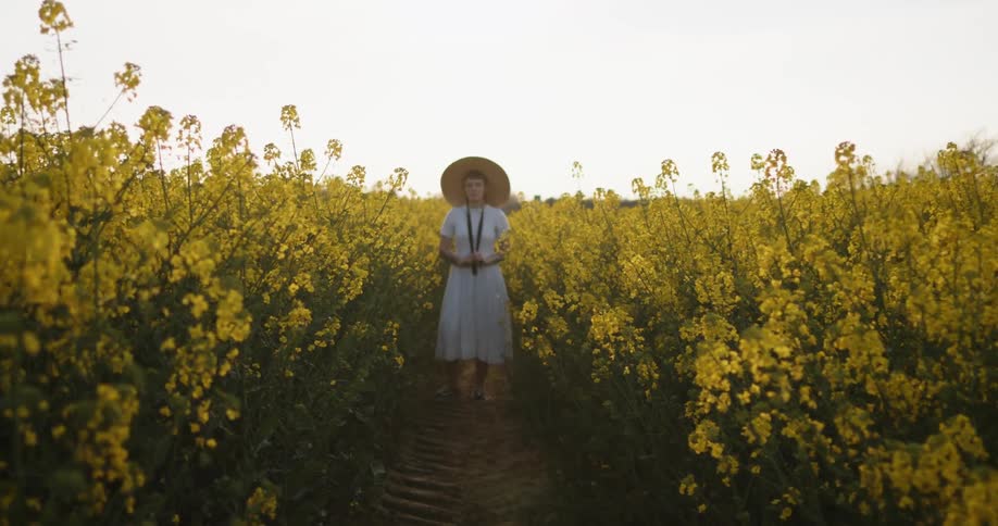 A woman wearing an old fashioned dress and a sun hat stands on a narrow dirt path through a field of tall yellow flowers