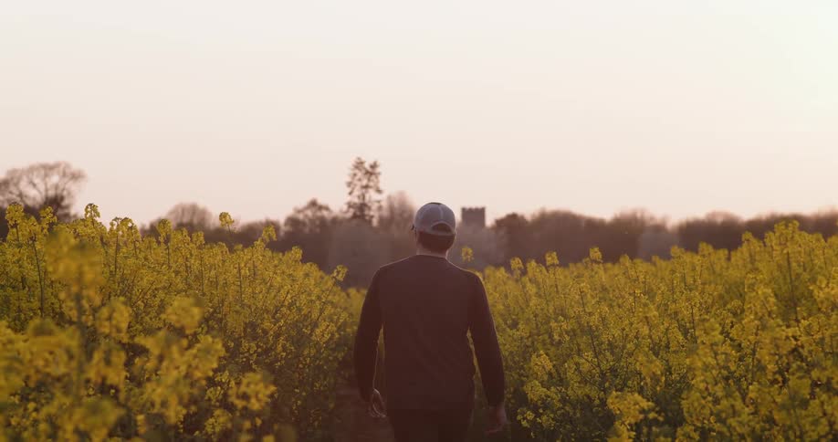 Man wearing baseball cap walks along path among yellow wildflowers toward trees
