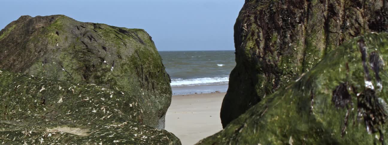 A view of a beach is displayed