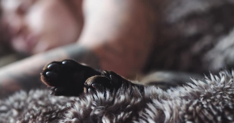 A teenager sleeps beside his dog