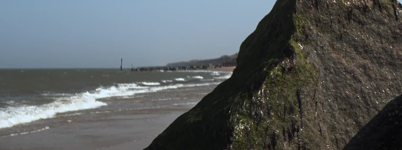 Waves rolling in to the shore