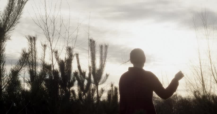 Woman stands in darkened field among vegetation touching plant stalk