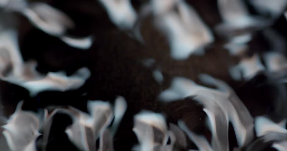 Dark agitated liquid reflects lights