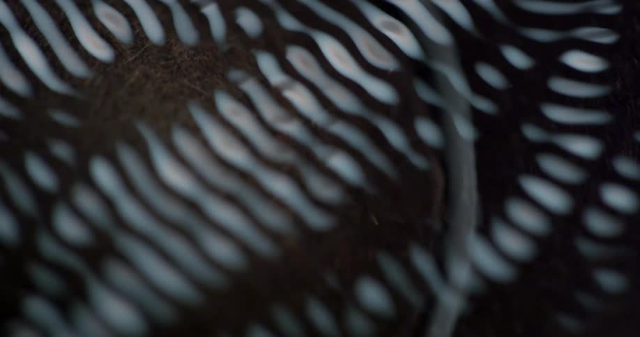 Bands of light vibrate over a cup with a brown substance in it