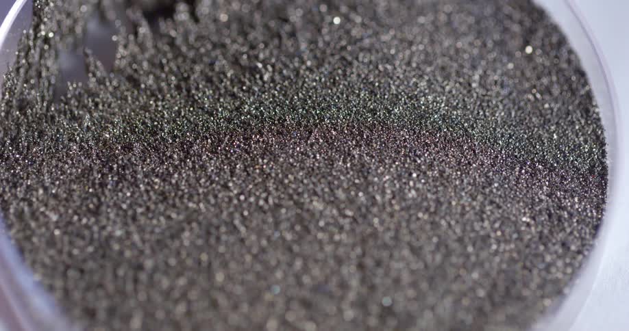 A petri dish with soil in