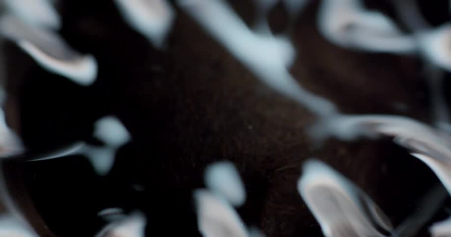 Camera zooms into water surface reflecting sunlight and goes under