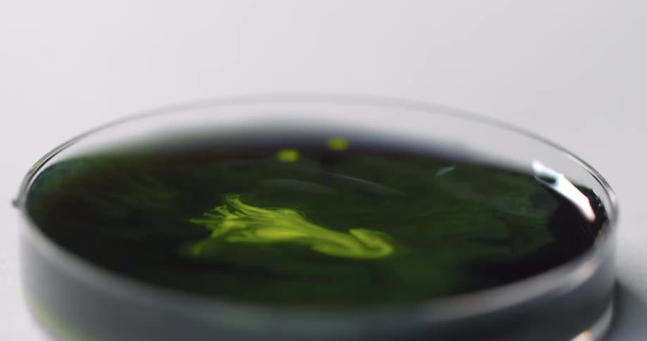 Dye being dropped in to a petri dish