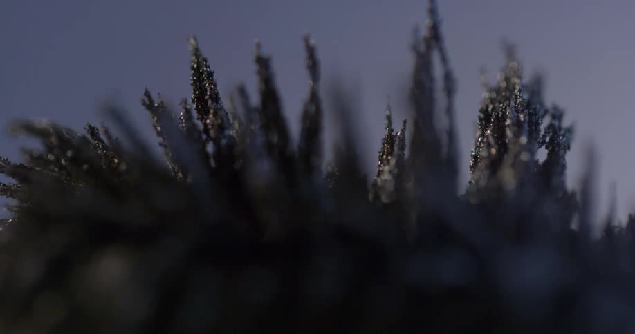 Metal filings form spikes against blue background