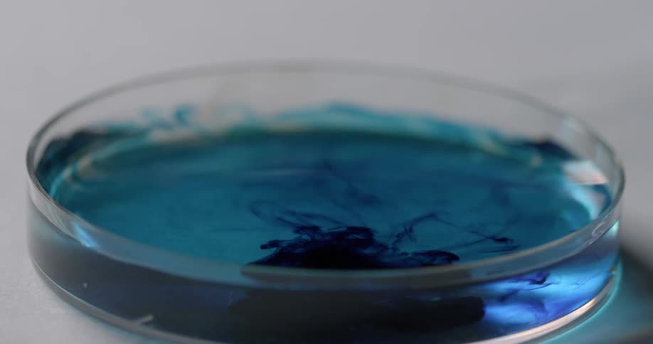 Blue dye being dropped in to a petri dish with clear liquid