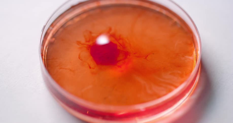 A drop of red liquid falling into clear liquid and turning it red