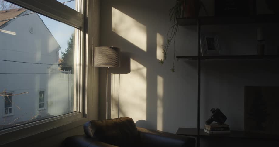 Sunlight comes through a window in the living room