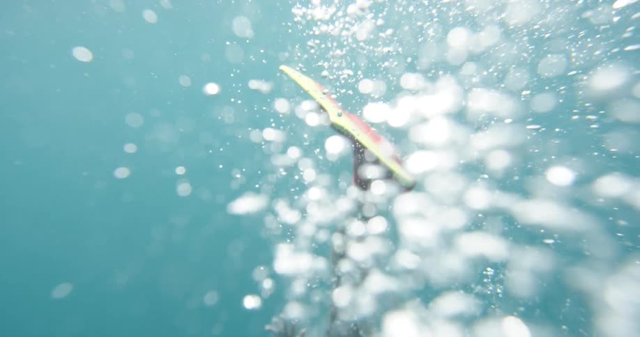 Two people swim underwater with flippers