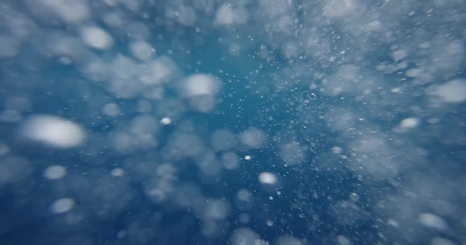 An underwater view of the ocean is displayed