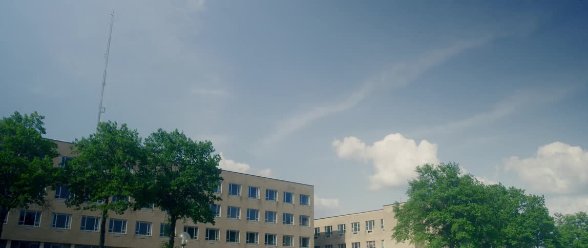 The row of buildings is lined with trees