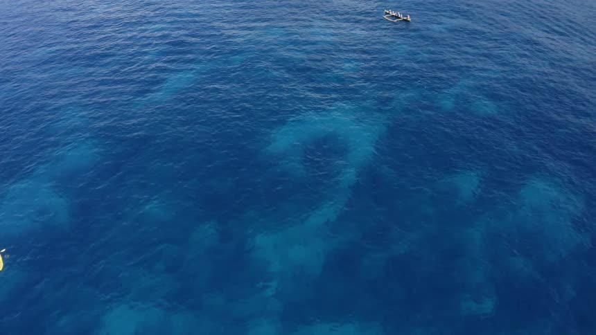 A dolphin swims in clear blue ocean near people on a surfboard and a kayak