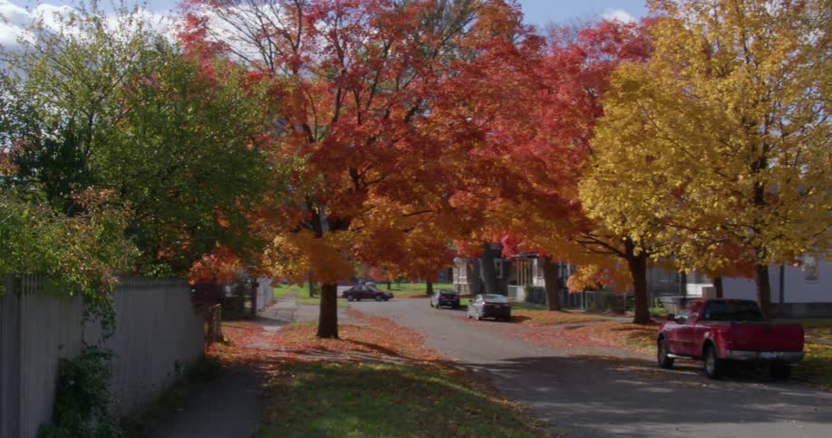Houses and cars in a calm neighborhood street at fall