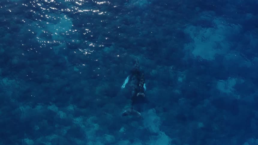 An aerial view of an ocean is displayed