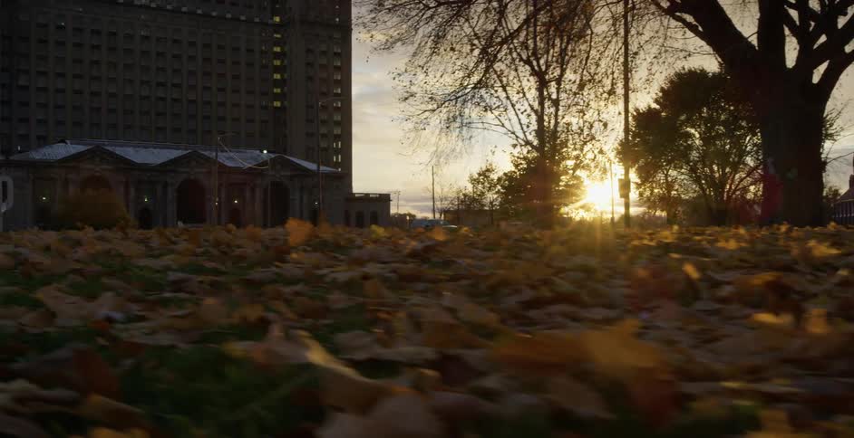 Fallen leaves cover the grass in a park in a city