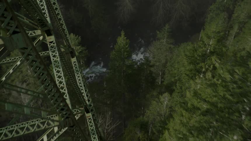 Aerial view of a forest and bridge with train tracks