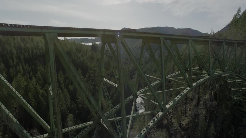 A bridge covered with tracks has a large forest and stream below