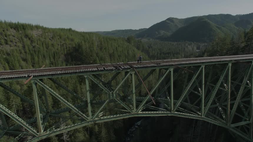 Aerial view of a bridge capping tree covered hills