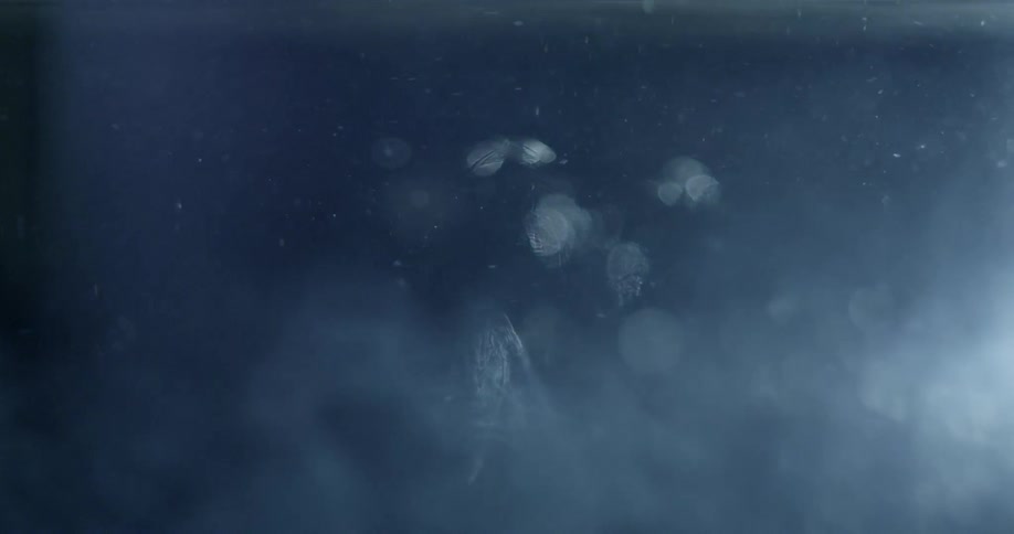 Abstract footage of a clear, liquid substance being dropped into another clear liquid