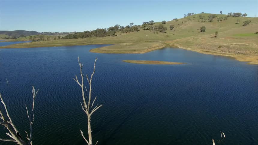 A dead tree protruding from water and a green hillside