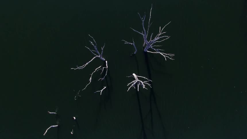 Environmental Aerials