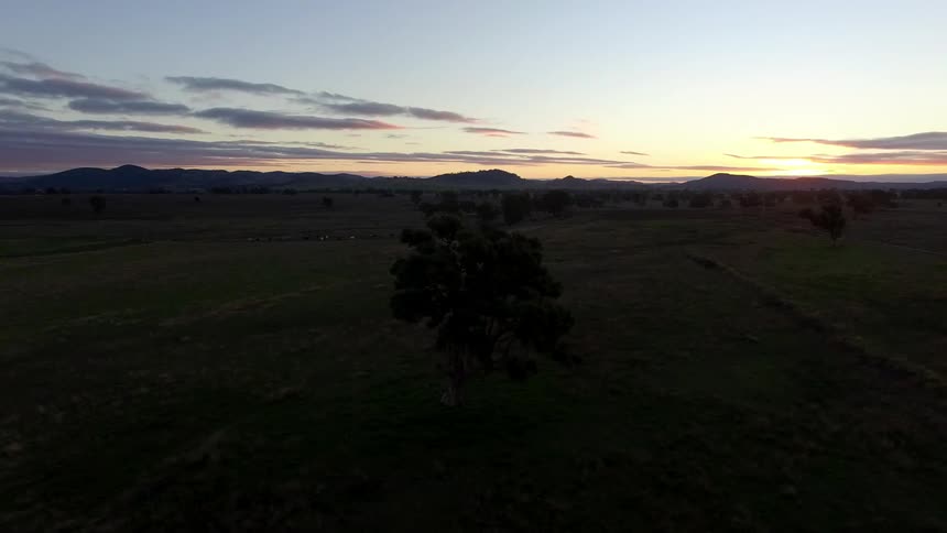 A field is getting dark as the sun sets in the distance